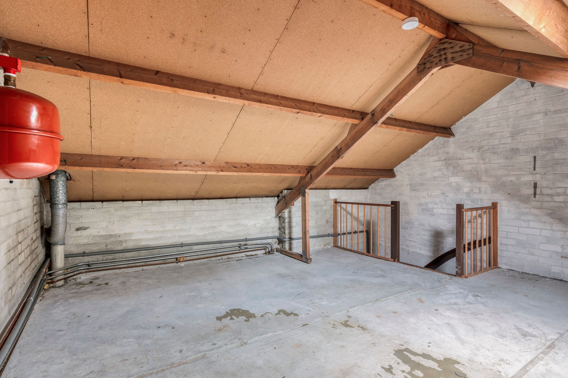 Photo 18 of Hondsdraf 14