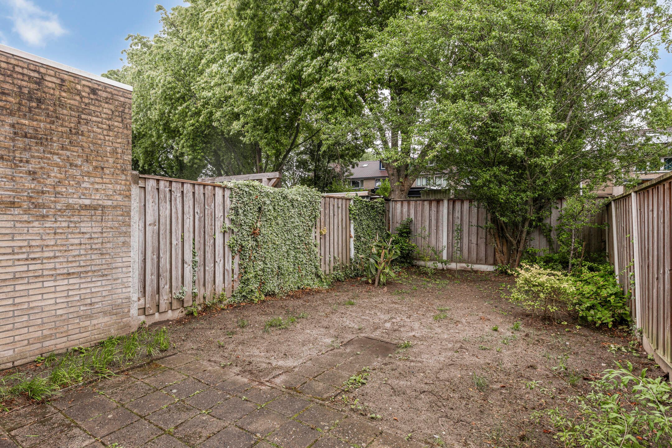 Photo 21 of Hondsdraf 14