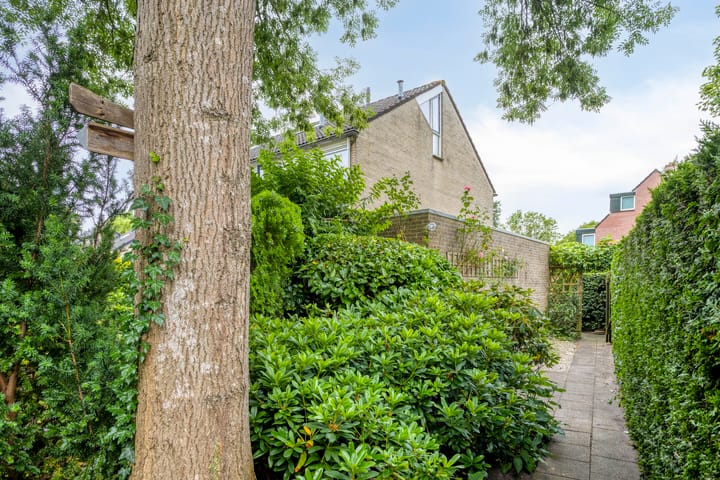 Foto 30 van Lavendel 11