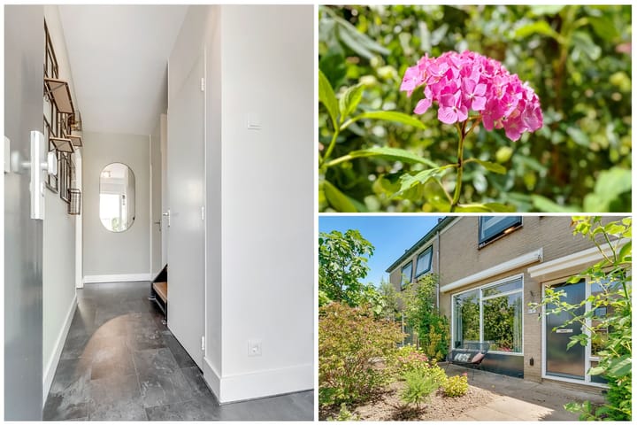 Foto 5 van Klaverveld 4