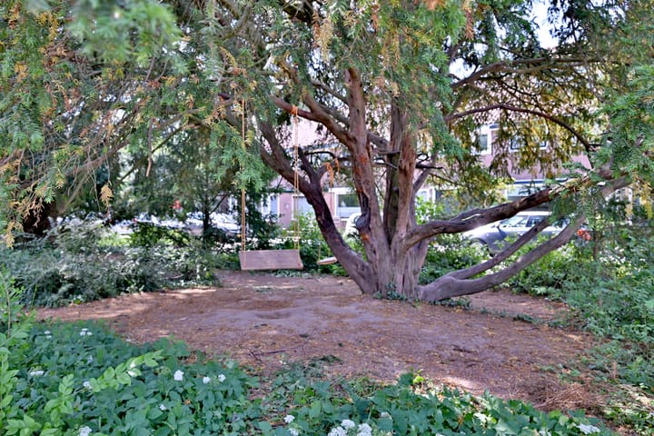 Foto 29 van Gerard Doustraat 42