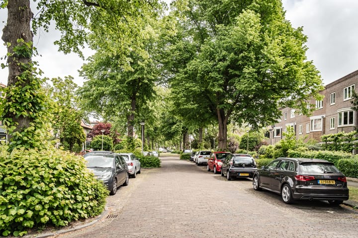 Foto 45 van Laan van Rozenburg 32