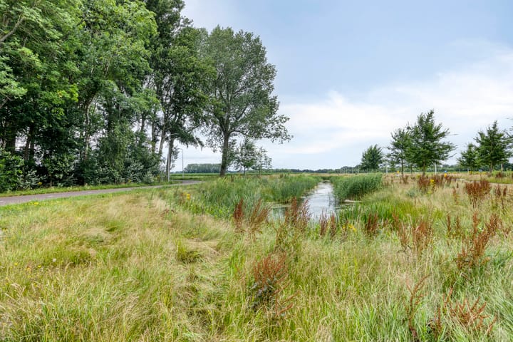 Foto 39 van Litho 59