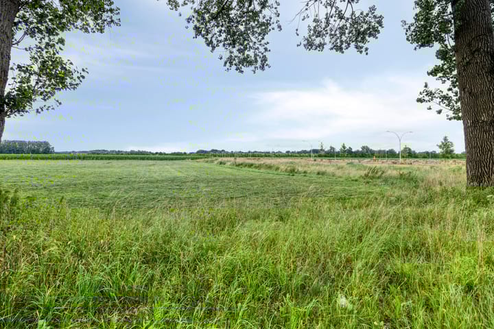 Foto 40 van Litho 59