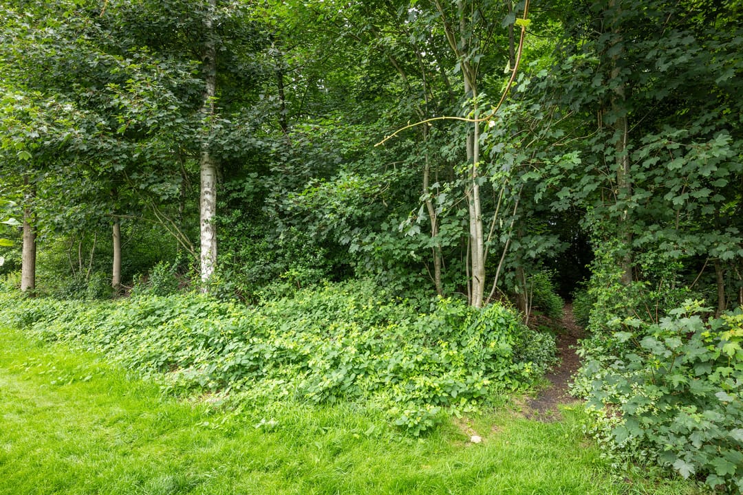 Foto 32 van Burgemeester Venemastraat 13