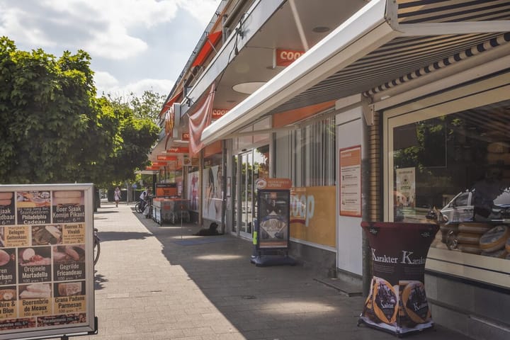 Foto 46 van Lijsterlaan 20