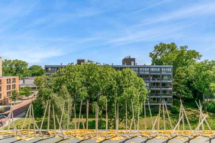 Foto 28 van Boerhaavelaan 197