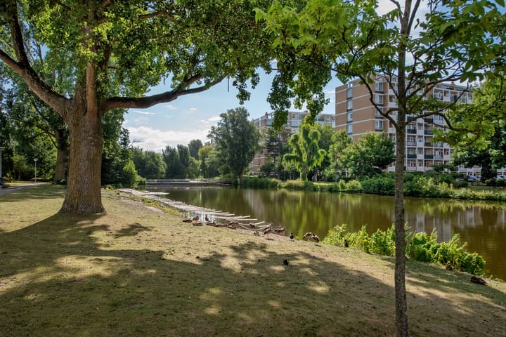 Foto 44 van Beethovenlaan 141