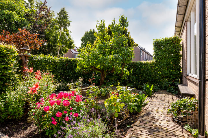 Foto 7 van Zeebies 2