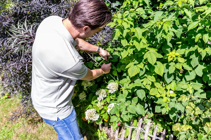 Foto 41 van Zeebies 2