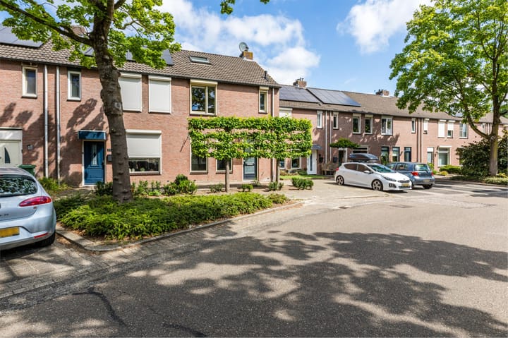 Photo 2 of Boterbloem 27