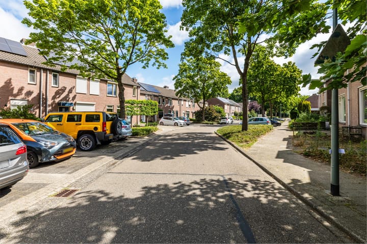 Photo 3 of Boterbloem 27