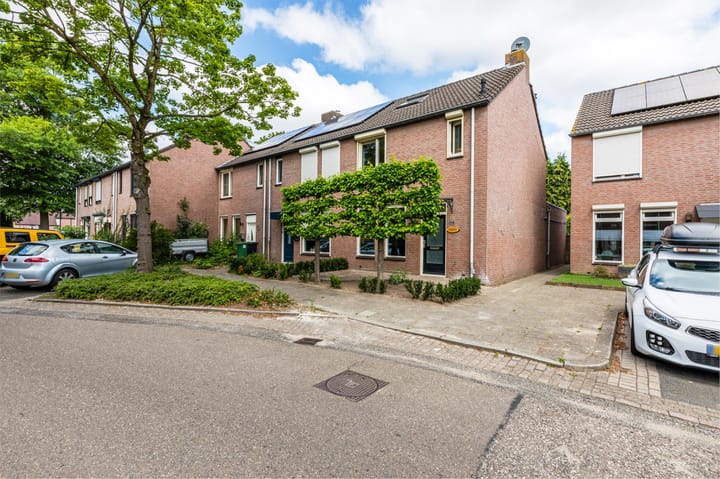 Photo 4 of Boterbloem 27