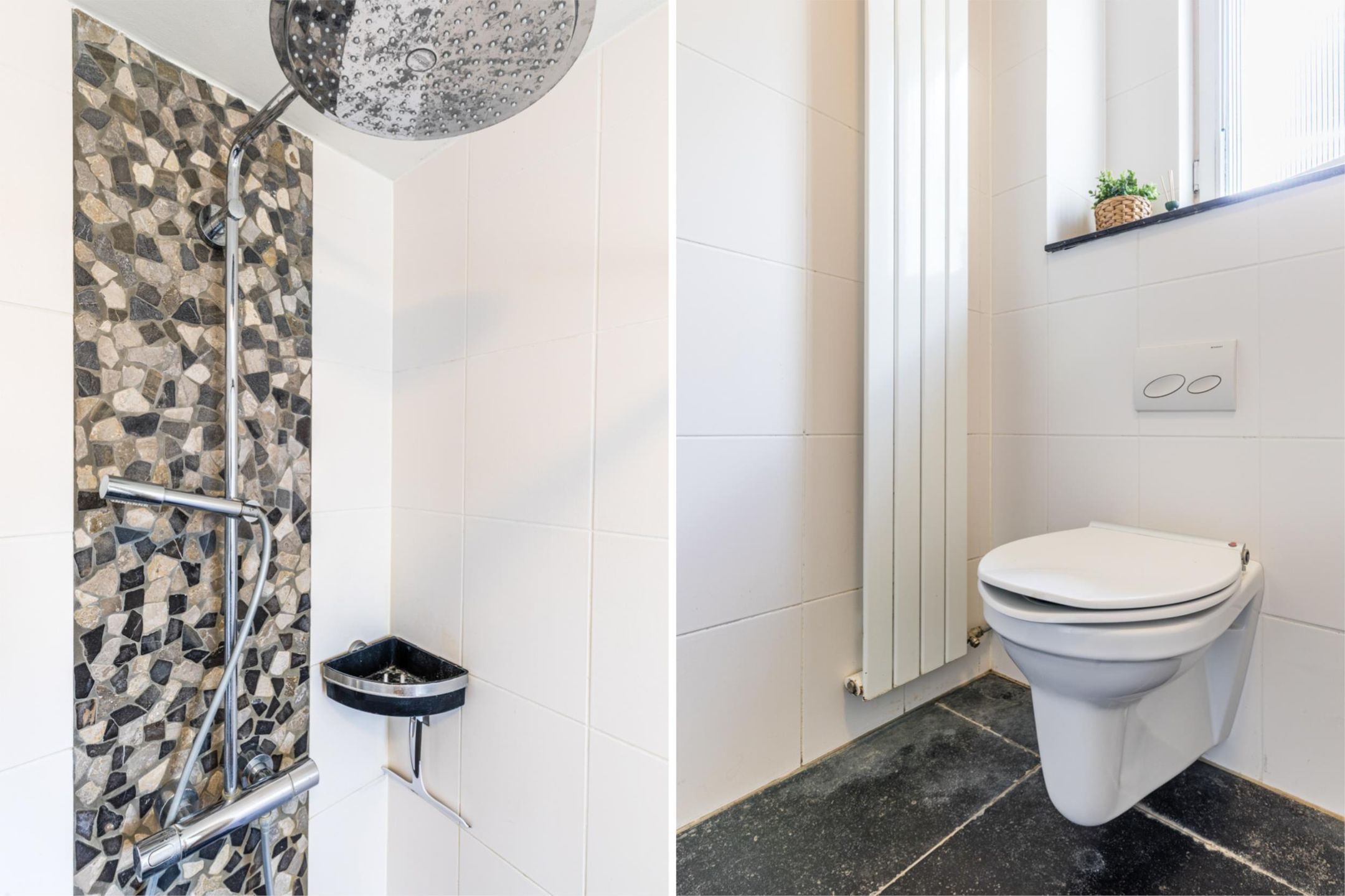 Photo 30 of Boterbloem 27