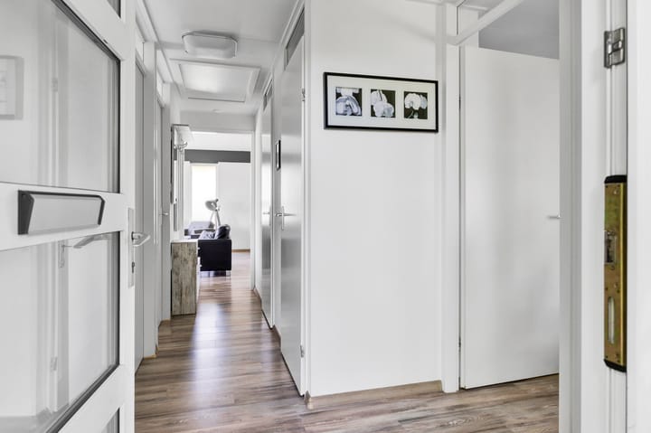 Photo 6 of Friesche Vlaak 10