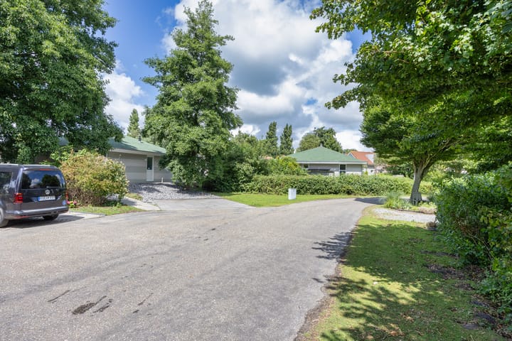 Photo 31 of Friesche Vlaak 10