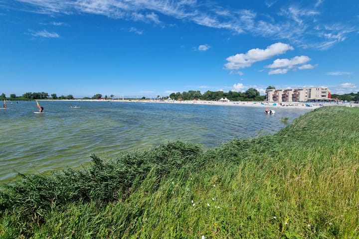 Photo 40 of Friesche Vlaak 10