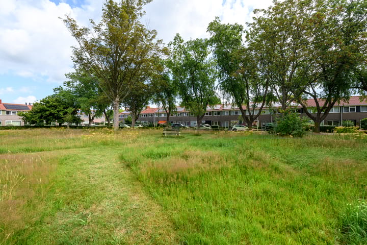 Foto 50 van De Zanding 32