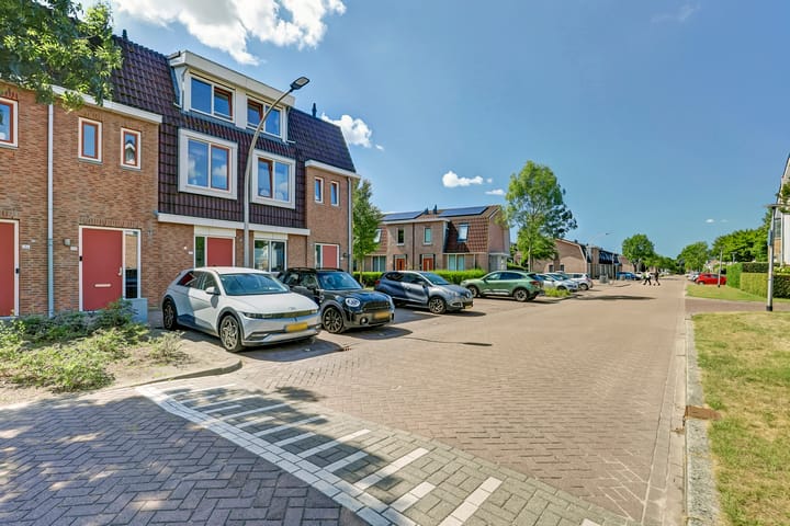 Foto 32 van Zalm 144