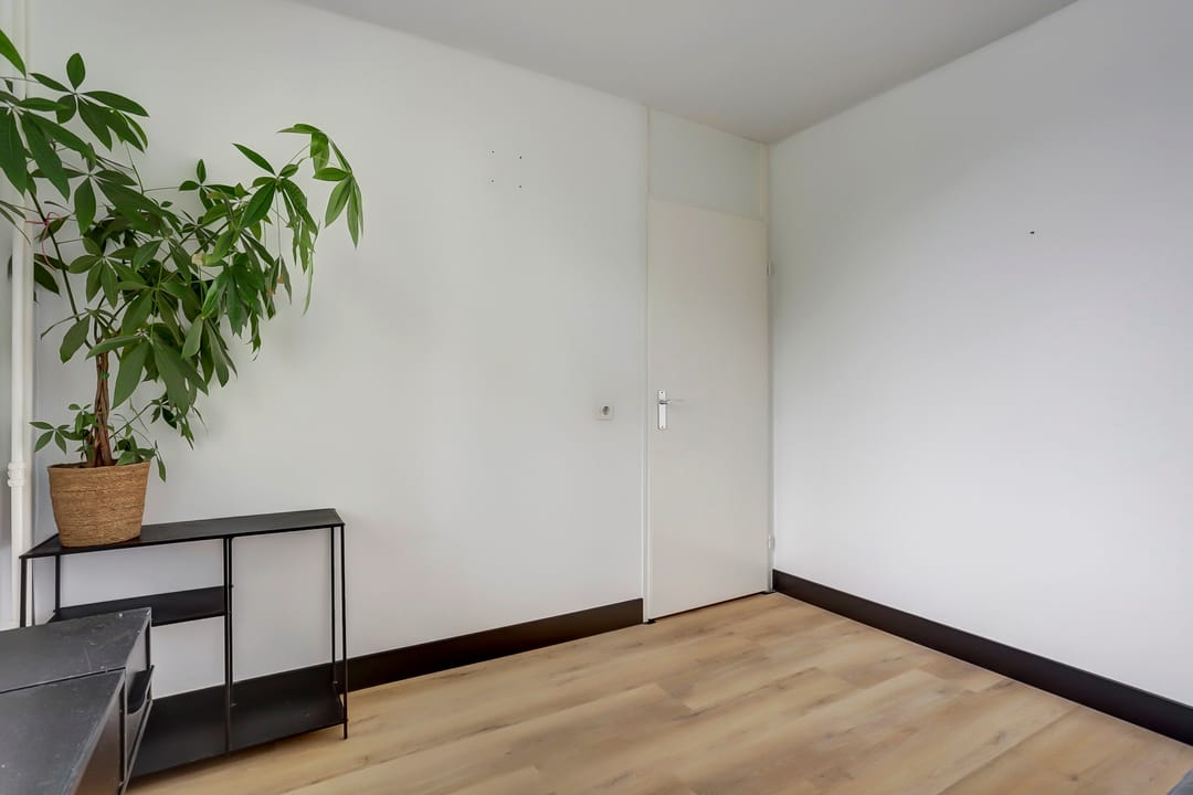 Photo 11 of Weegbree 37