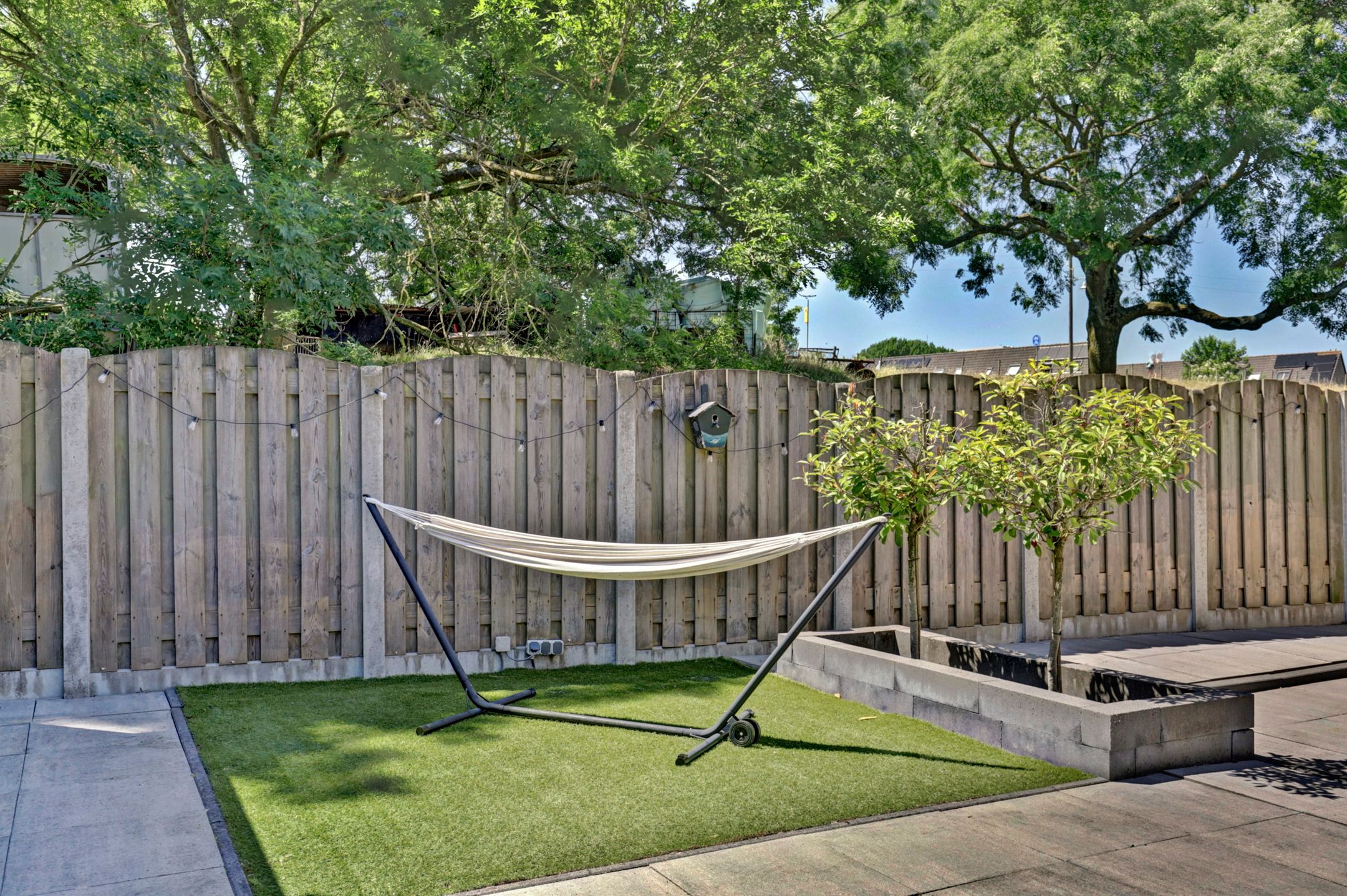 Photo 21 of Weegbree 37