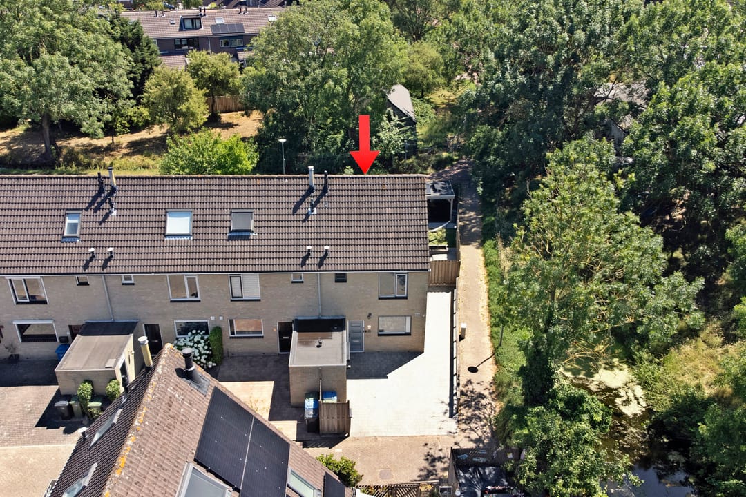 Photo 28 of Weegbree 37