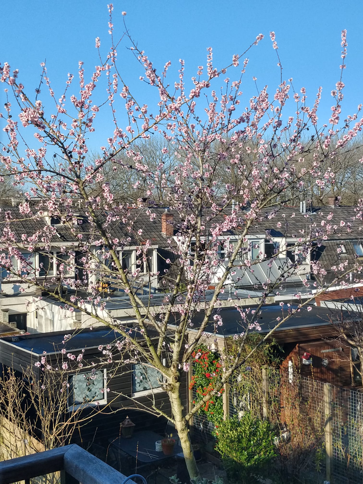 Foto 39 van Van Goghstraat 10