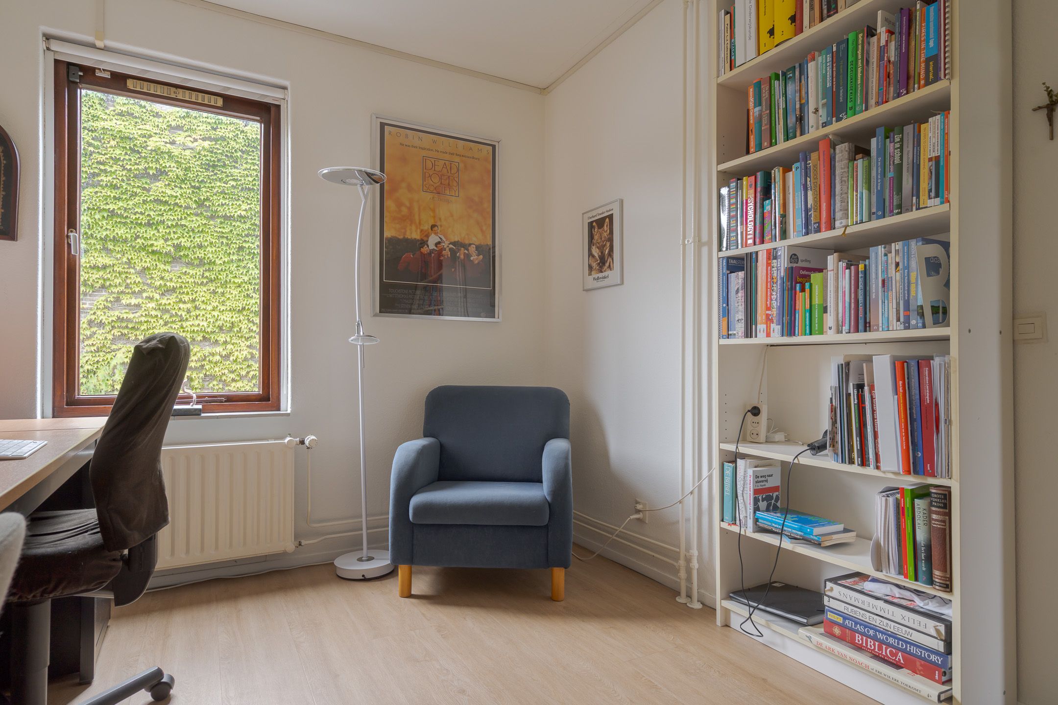 Foto 48 van Schelpkreek 27