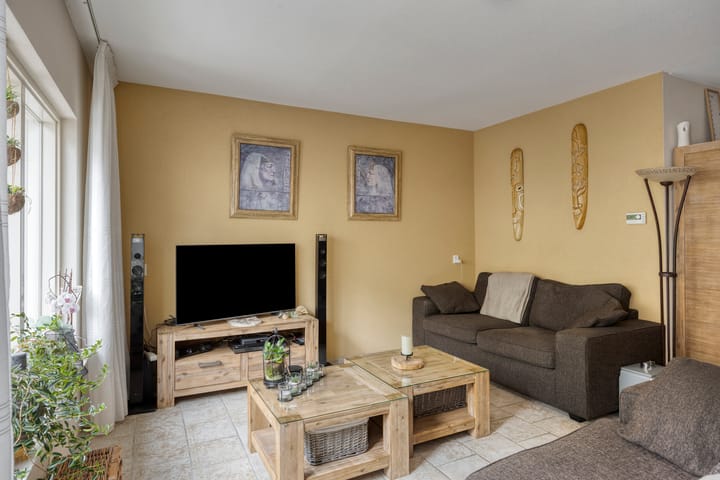 Foto 3 van Kruiser 29