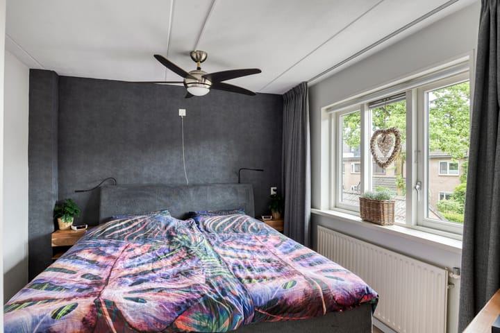 Foto 9 van Kruiser 29