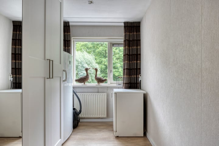 Foto 14 van Kruiser 29