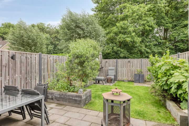 Foto 24 van Kruiser 29