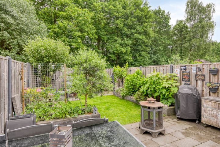 Foto 25 van Kruiser 29