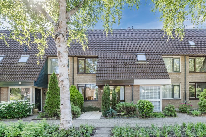 Berkeboom 61