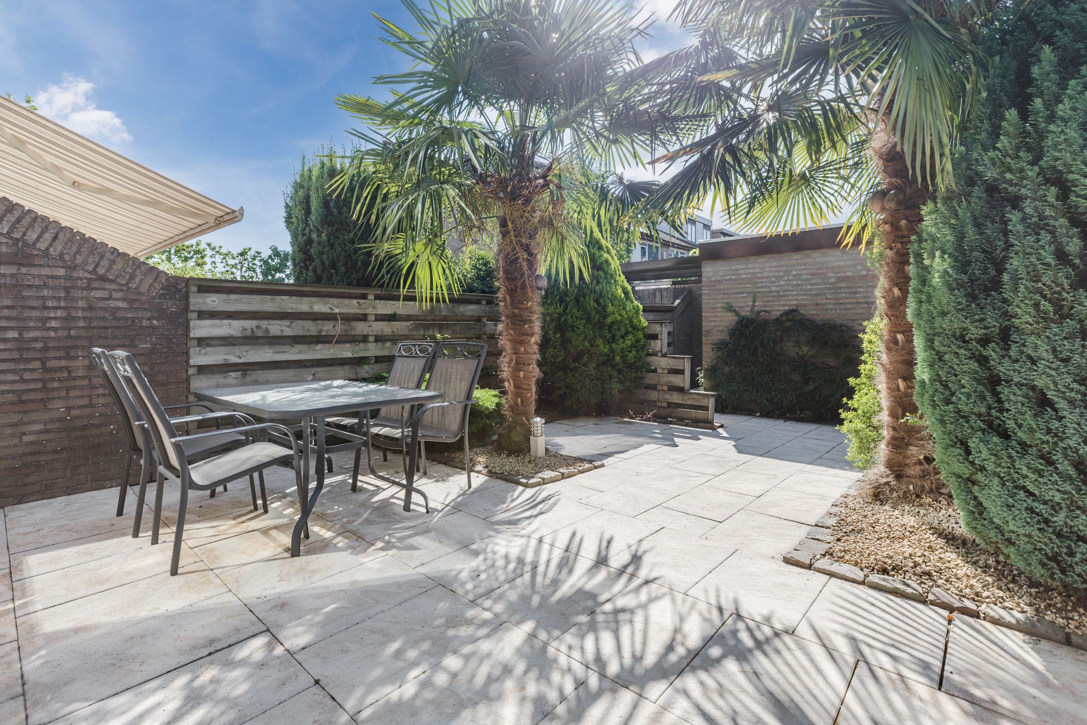 Foto 3 van Berkeboom 61