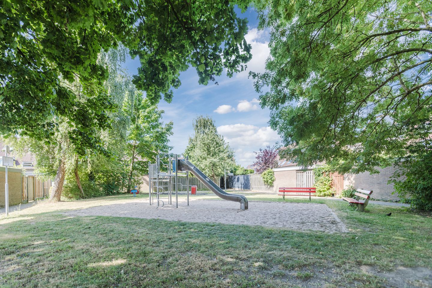 Foto 4 van Berkeboom 61