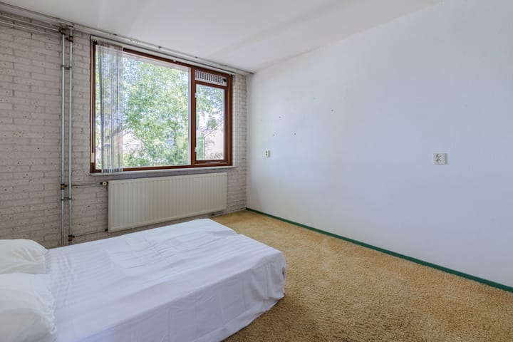 Foto 17 van Berkeboom 61