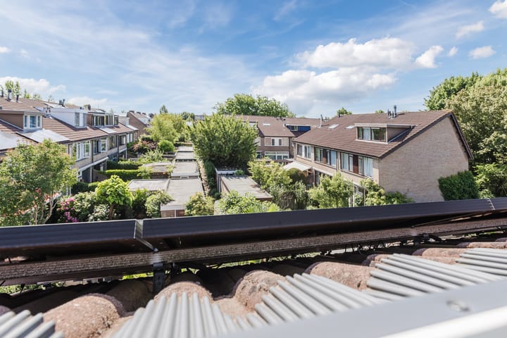 Foto 25 van Berkeboom 61