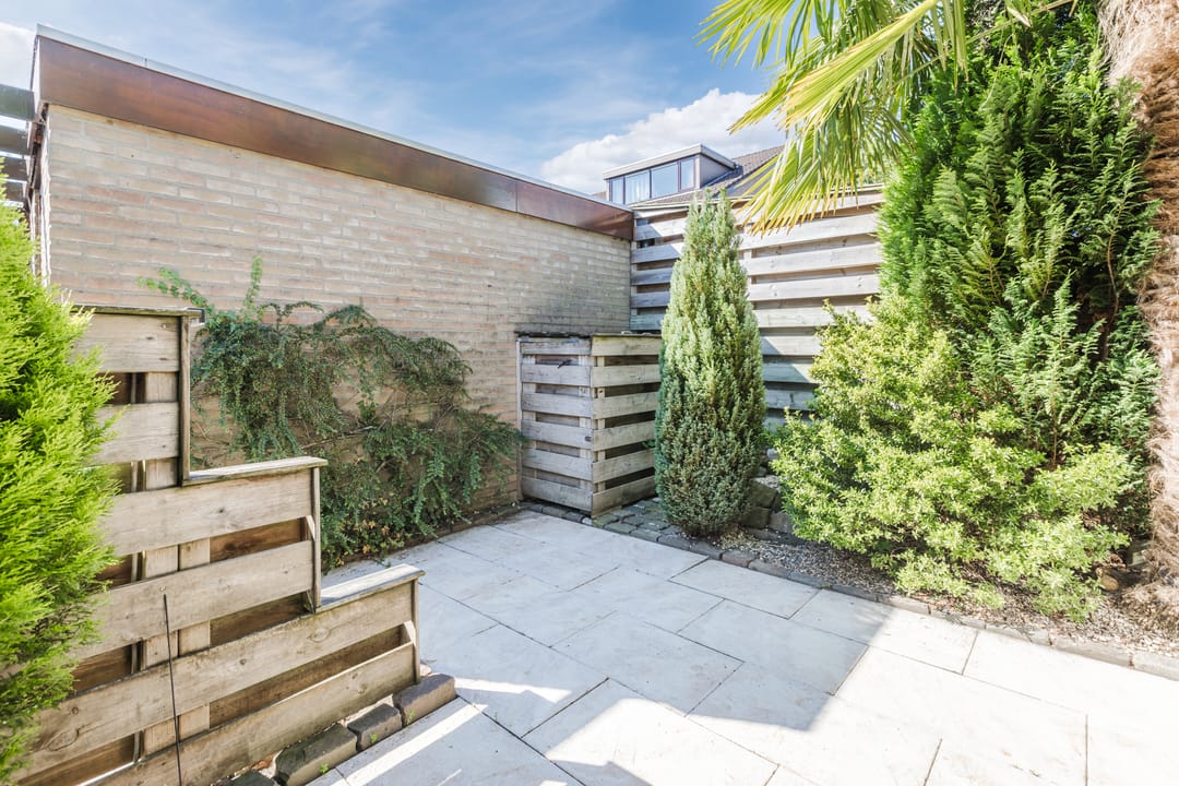 Foto 28 van Berkeboom 61