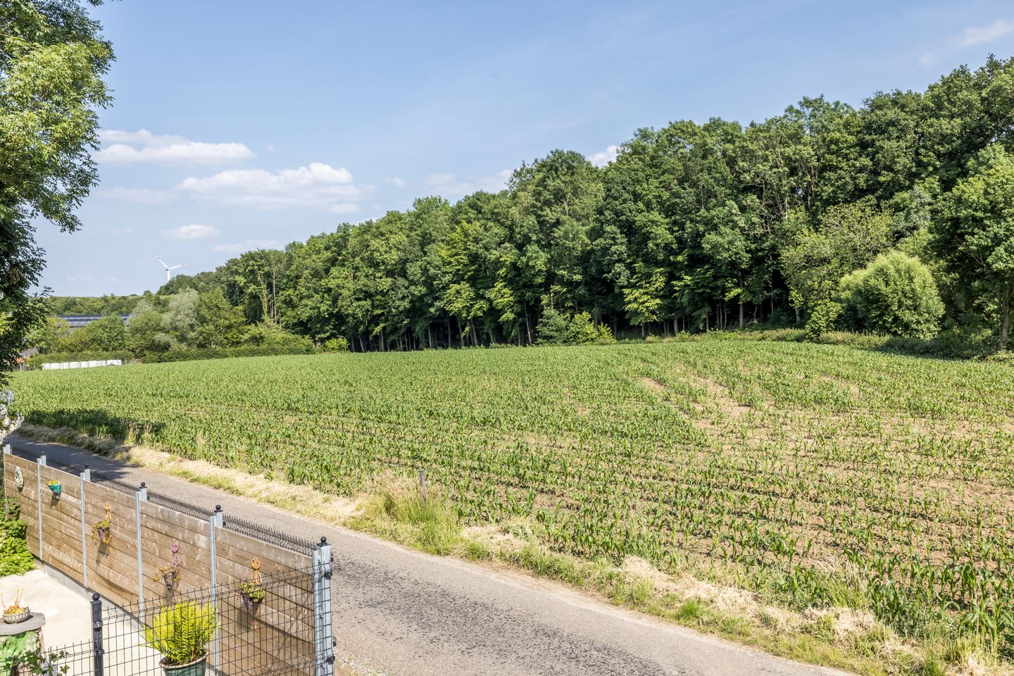 Foto 49 van Waalbroek 9