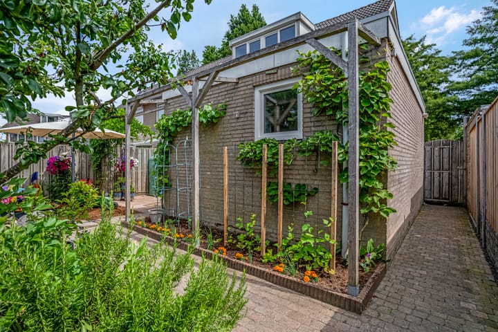 Foto 37 van Burgemeester van Lyndenpark 35