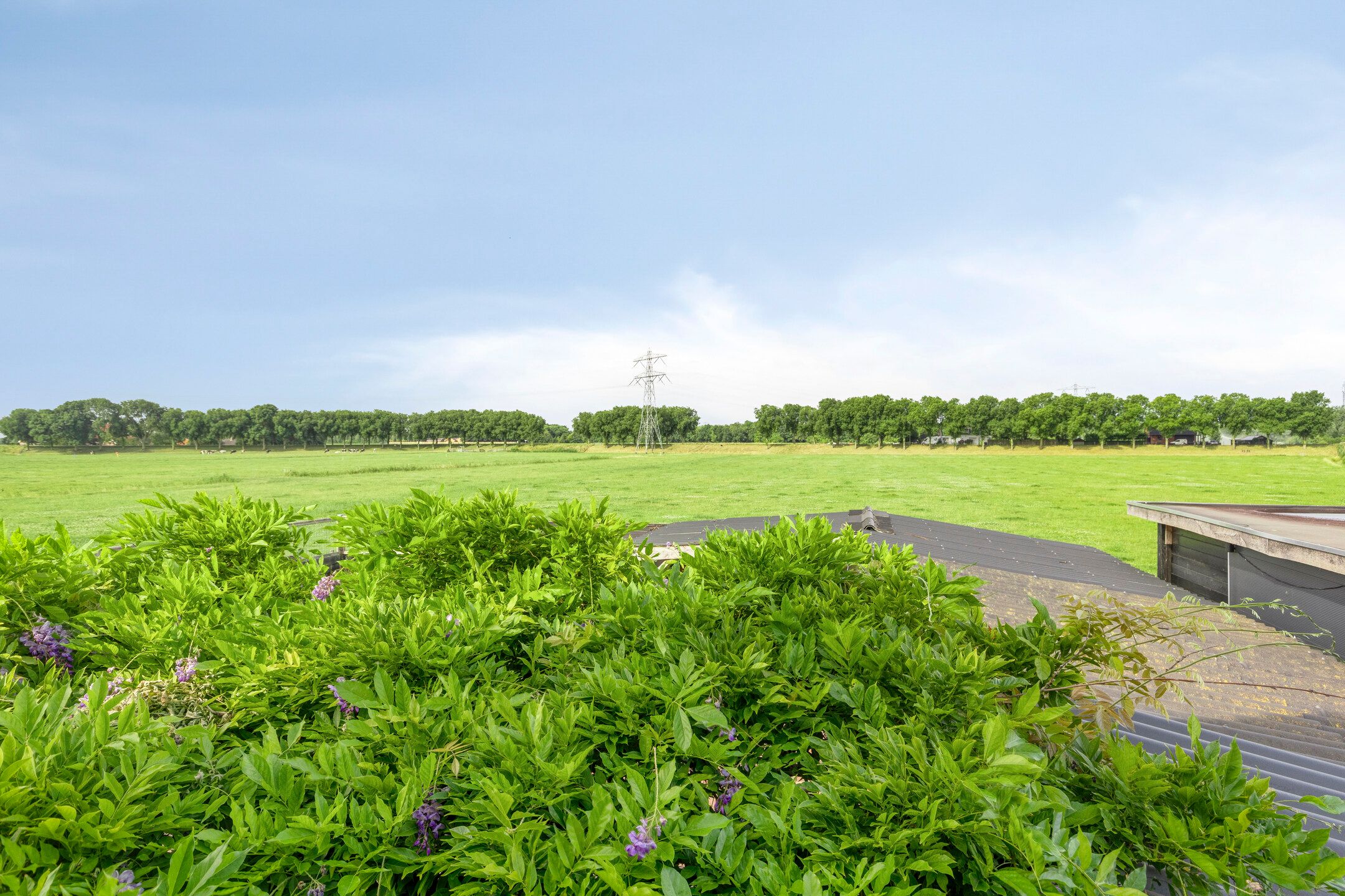 Foto 33 van Sportlaan 6