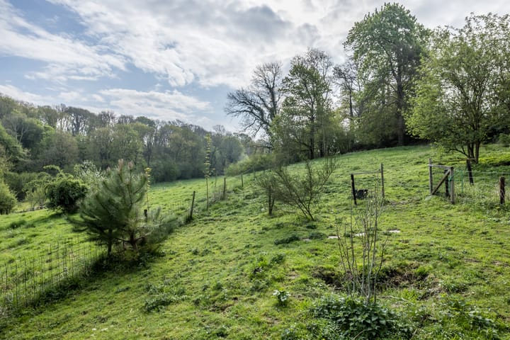 Foto 29 van Bergstraat 88