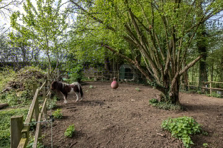 Foto 32 van Bergstraat 88