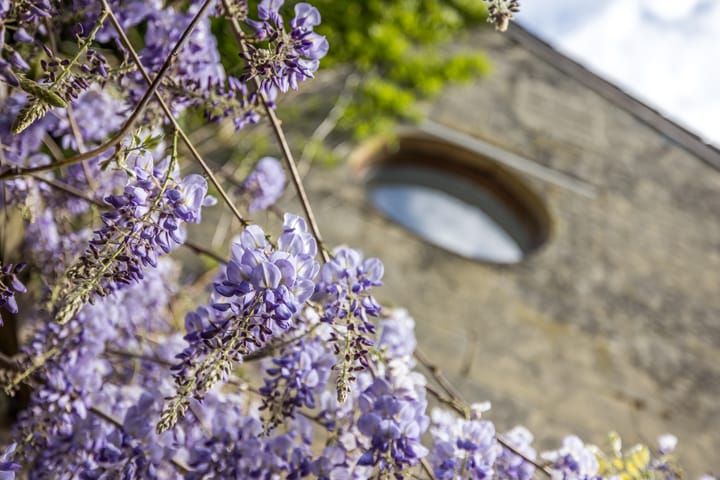 Foto 35 van Bergstraat 88