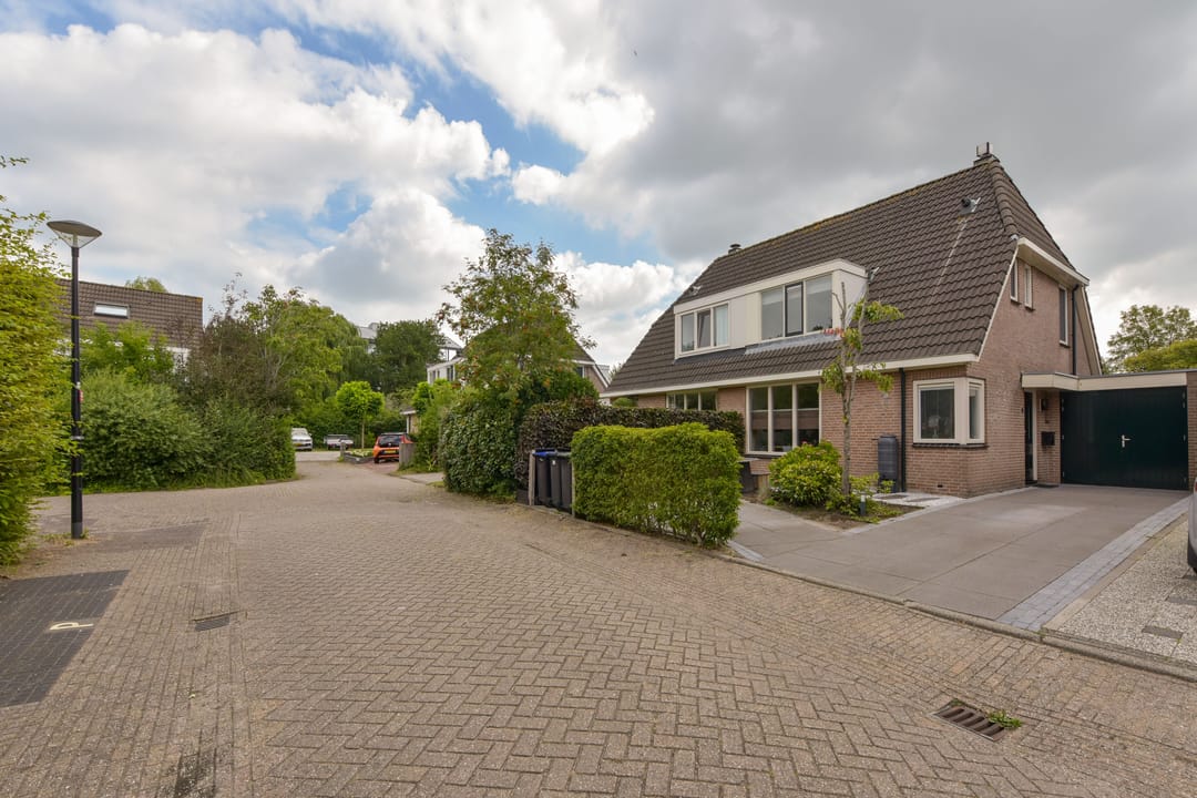 Foto 2 van Scholekster 7