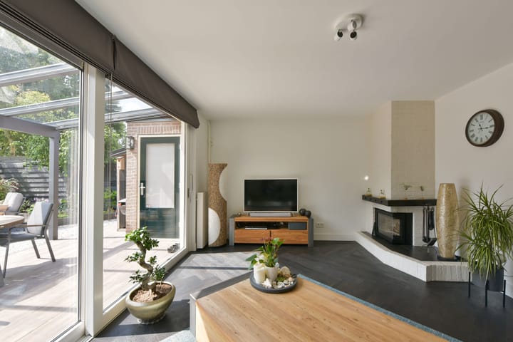 Foto 7 van Scholekster 7