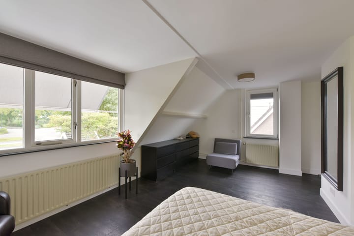 Foto 20 van Scholekster 7