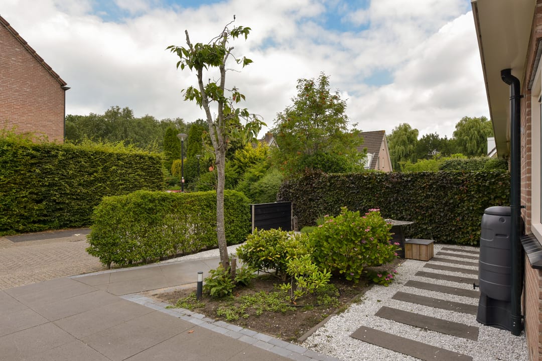 Foto 28 van Scholekster 7