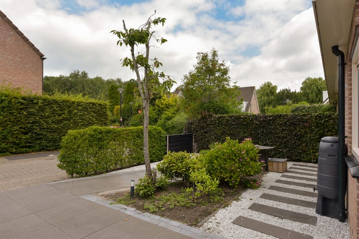 Foto 28 van Scholekster 7